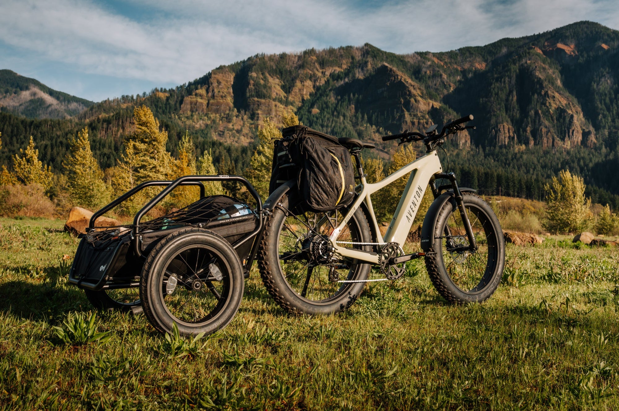 Aventon Aventure 3 Fat Tire Electric Bike – Matcha Color