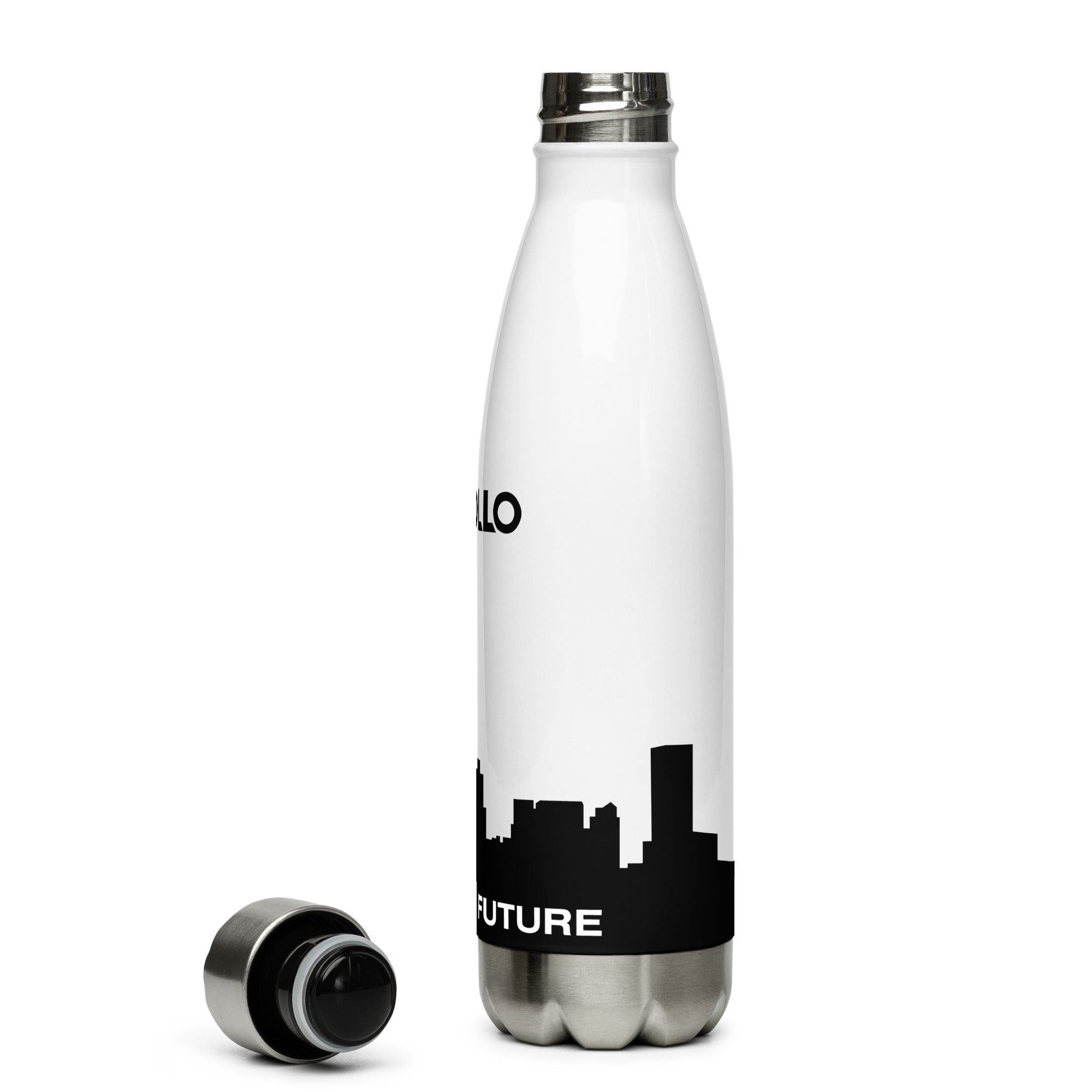 Skyline Stainless Steel Water Bottle 17 oz Double-Walled