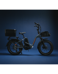 RadExpand™ 5 Plus Electric Folding Bike